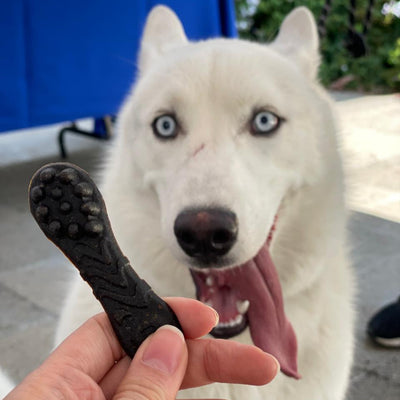 Cepillo dental de colágeno