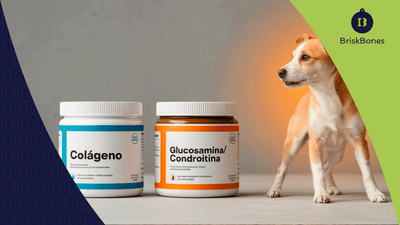 Colágeno vs glucosamina y condroitina: ¿qué suplemento es mejor para las articulaciones?