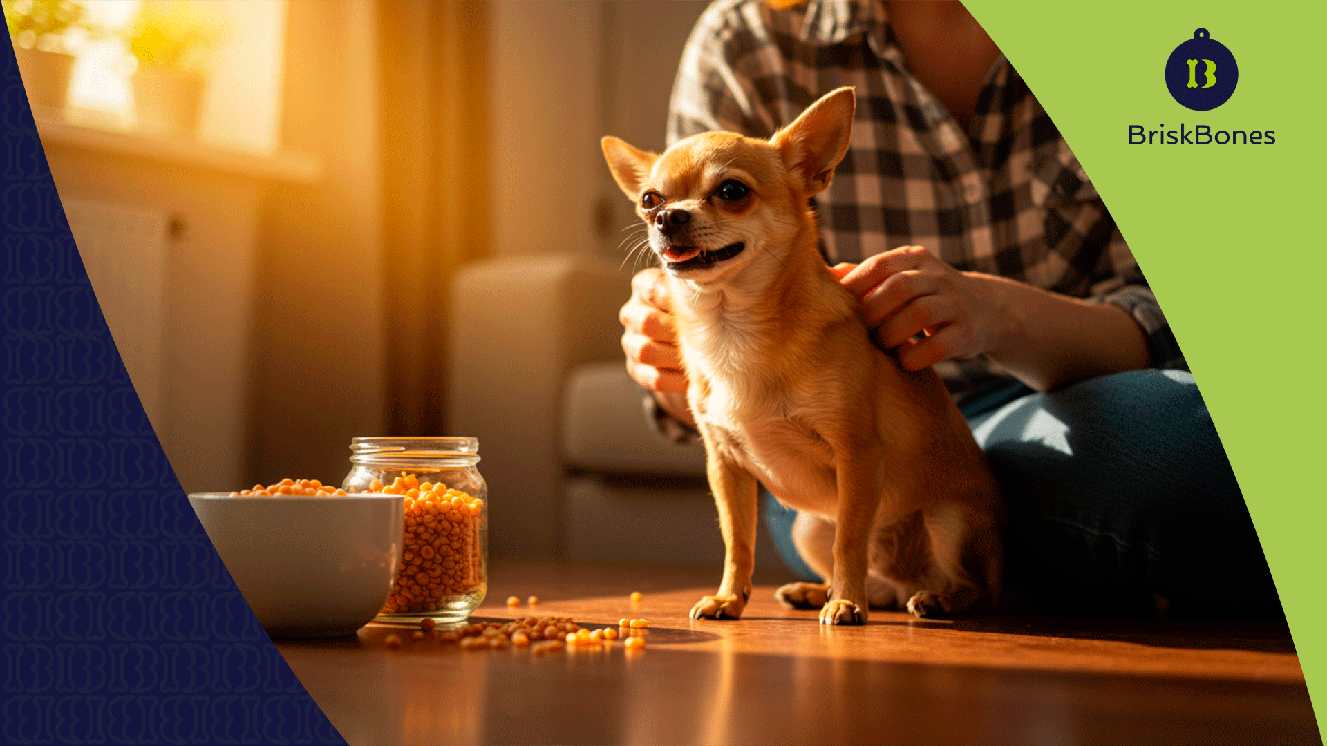 Snacks caseros de colágeno para perros: recetas fáciles y sanas