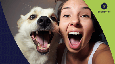 Colágeno y salud dental en perros: mordida fuerte y sonrisa sana